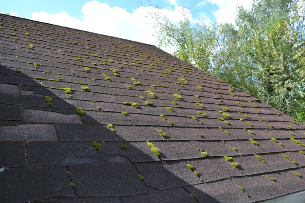 How To Clean Moss Off Your Roof